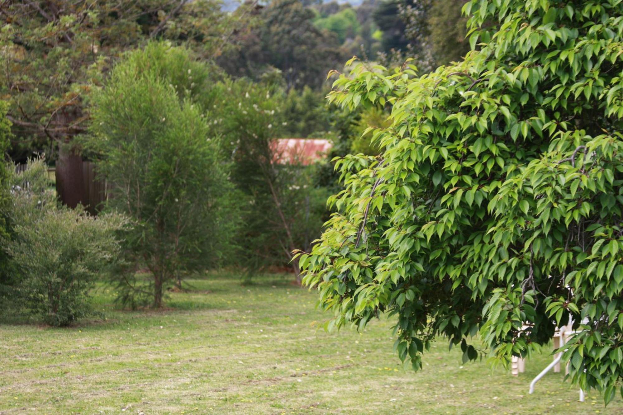 Opal Motel Leongatha Dış mekan fotoğraf